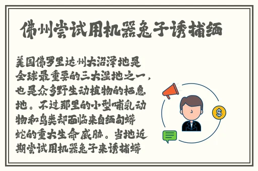 杨玉环乳液狂飙人与动物